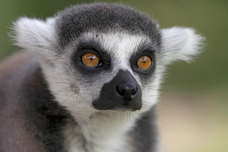 Cjp_2011_08_02_130824 (1).jpg